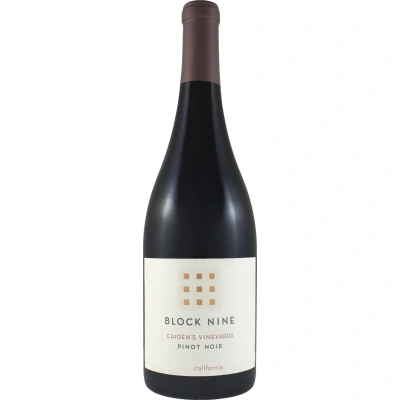 Block Nine Caiden's Vineyard Pinot Noir 2020 Červené 13.5% 0.75 l (holá láhev)